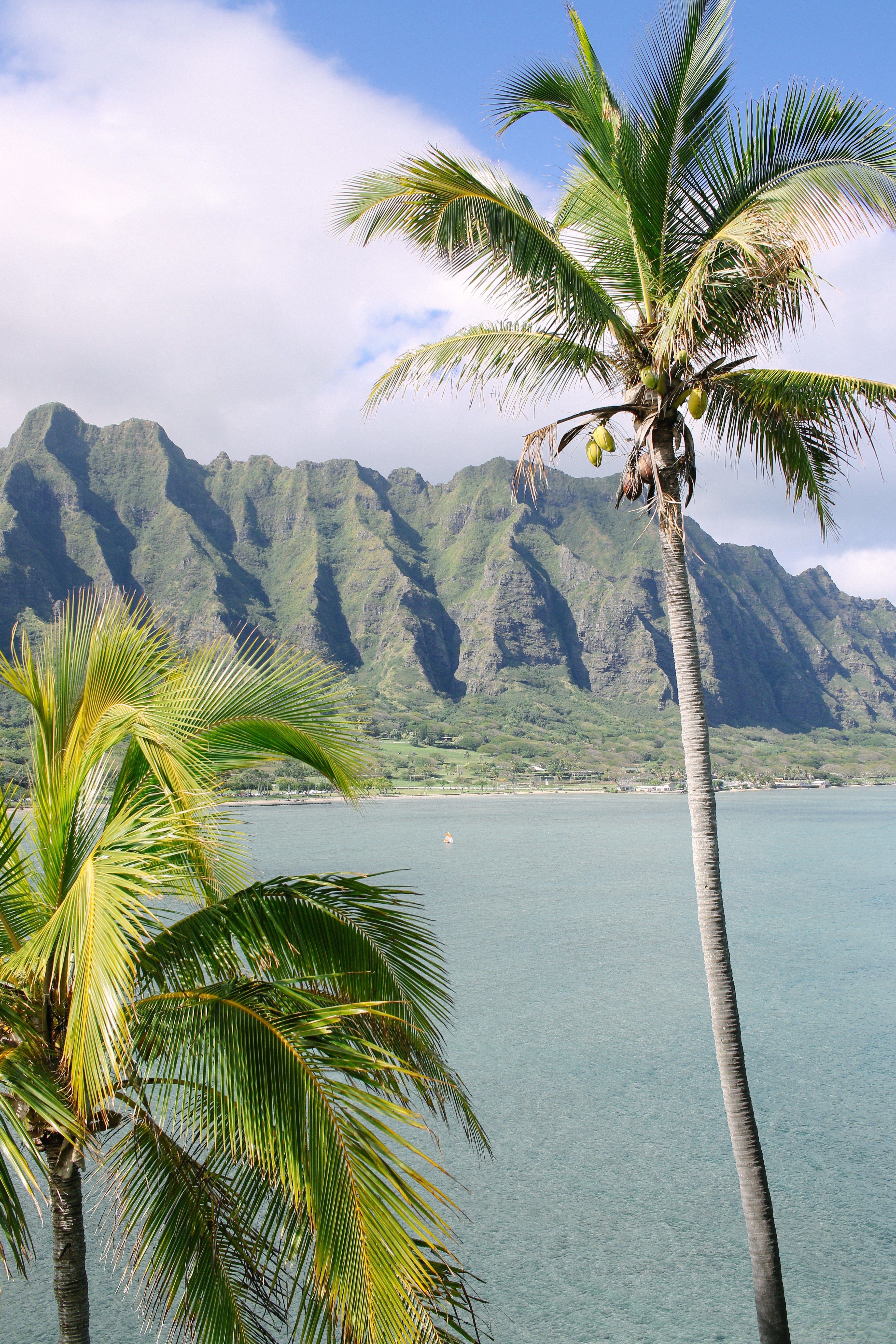 American Samoa National Park Hiking Trails: Our Top 5 Favorite Hikes