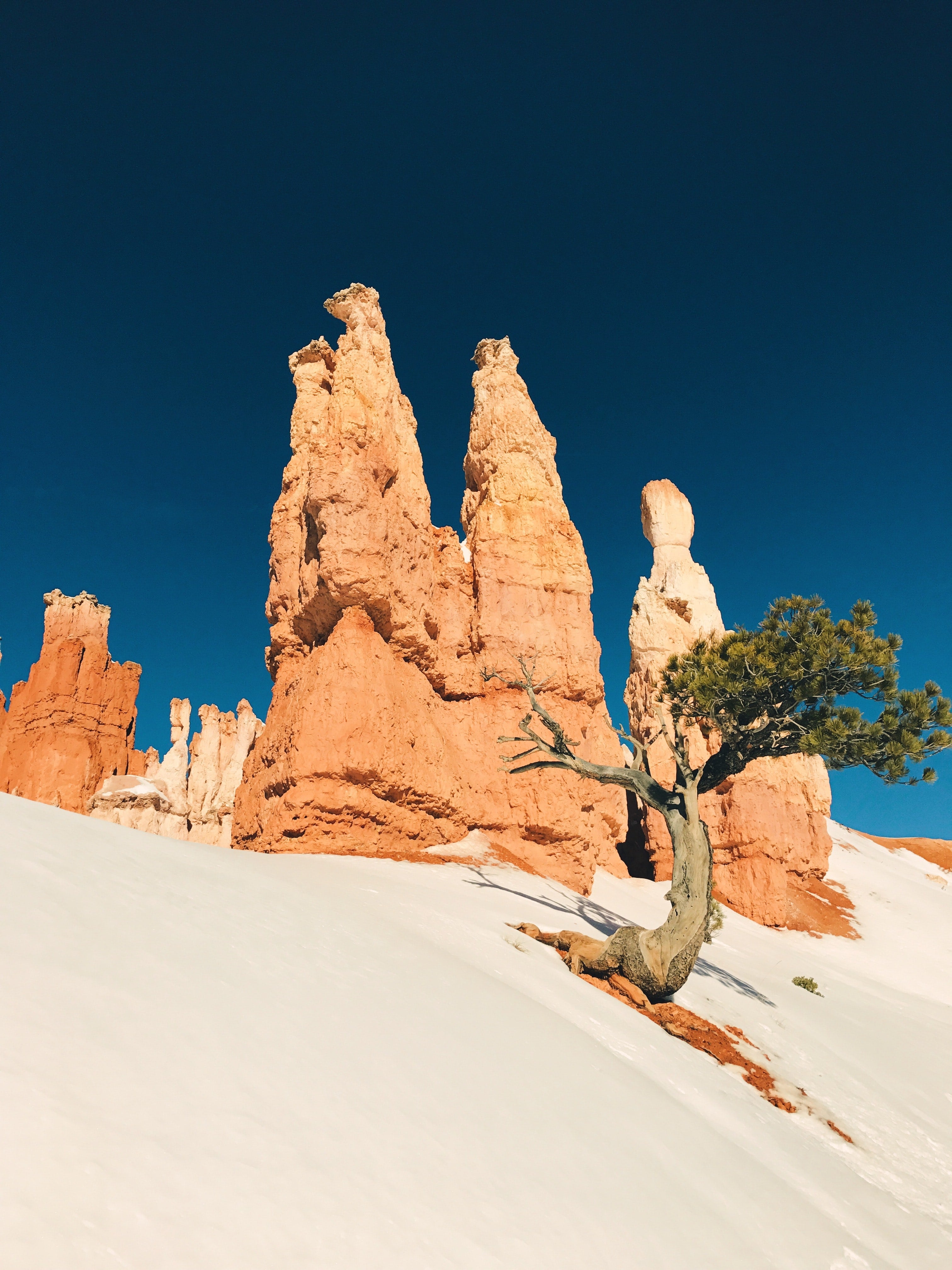 The Top 5 Hikes to Take at Bryce Canyon National Park