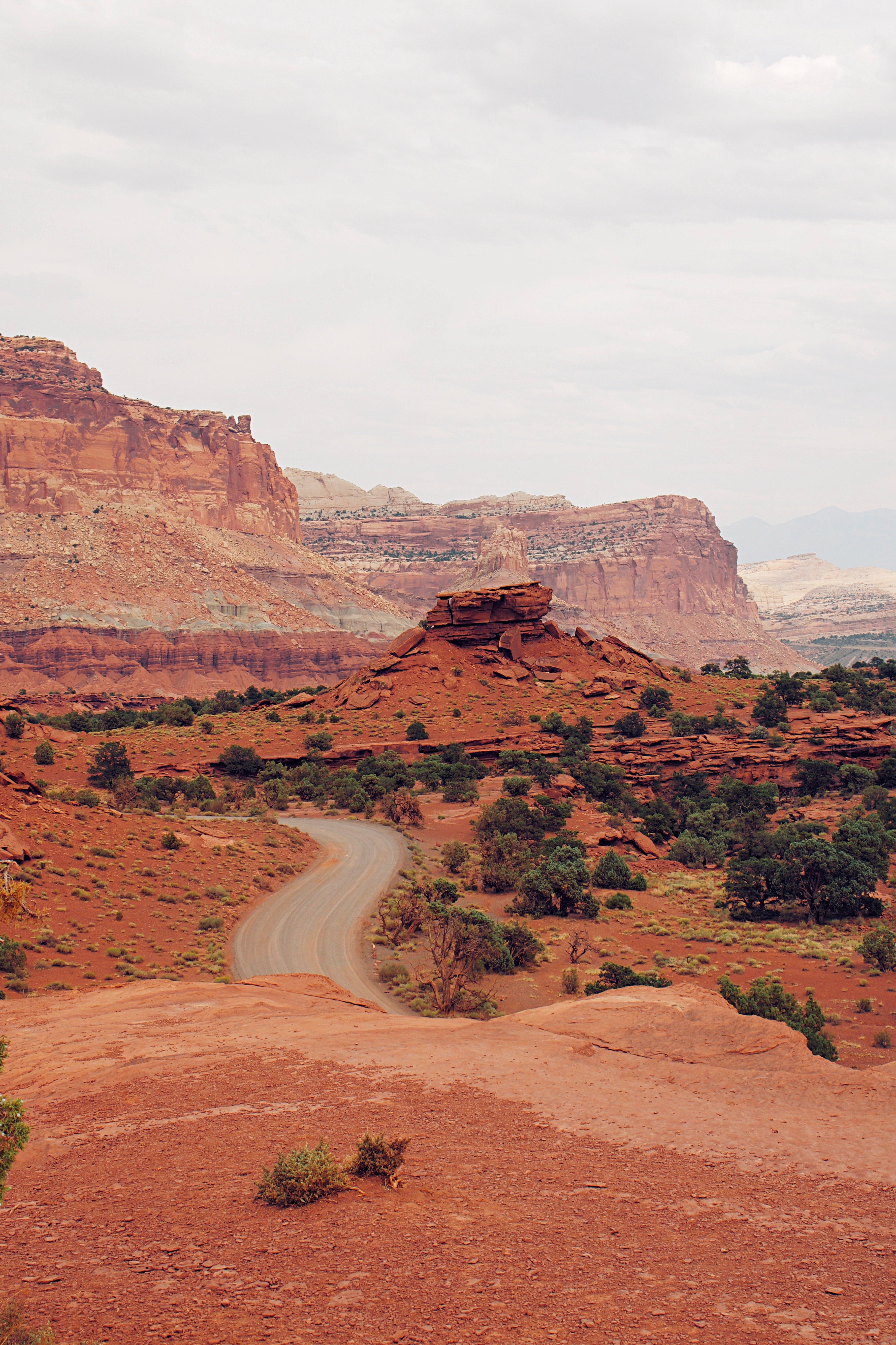 5 Breathtaking Hikes To Take at Capitol Reef National Park