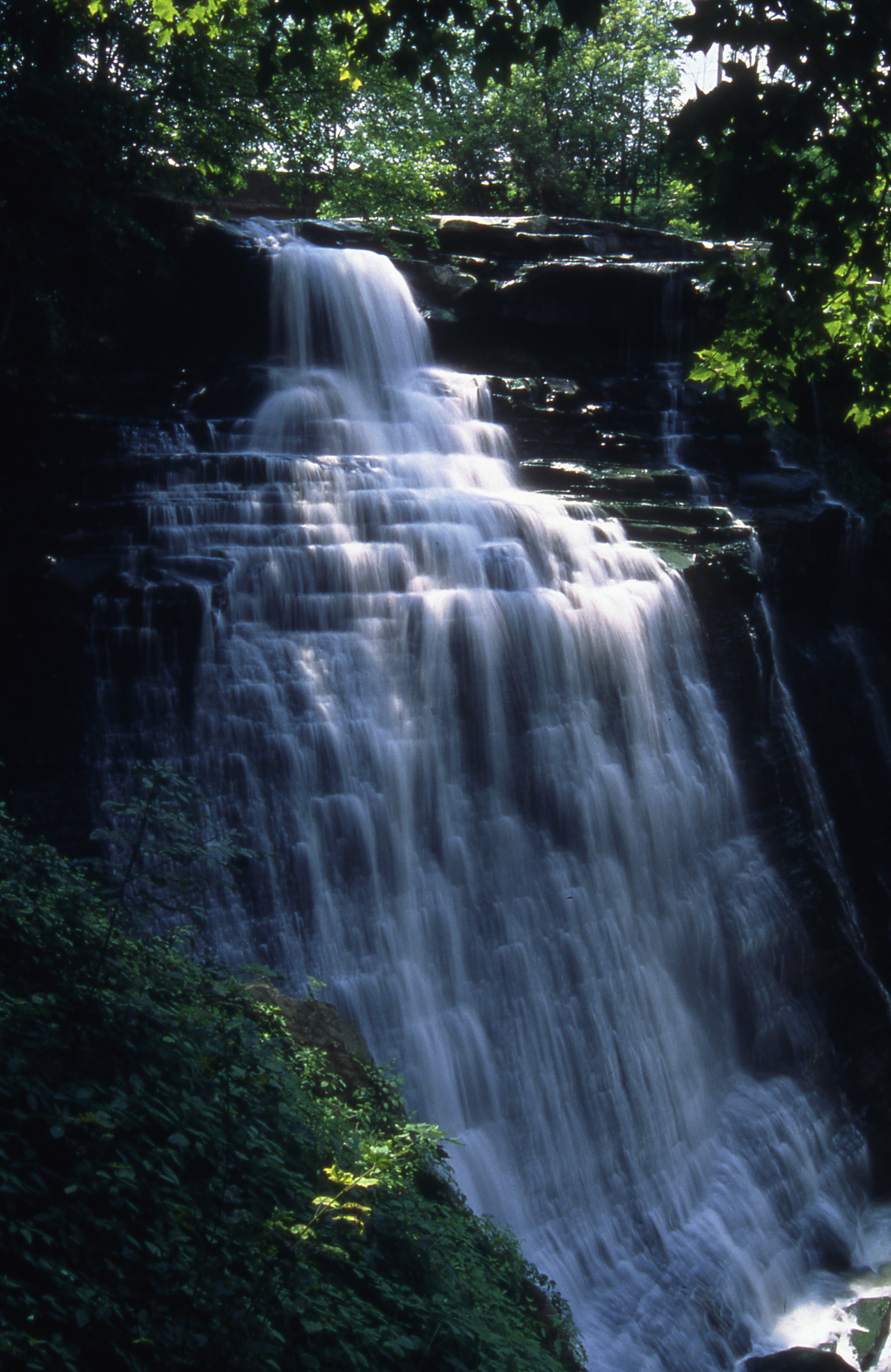 5 Stunning Hikes You Need To Take in Cuyahoga Valley