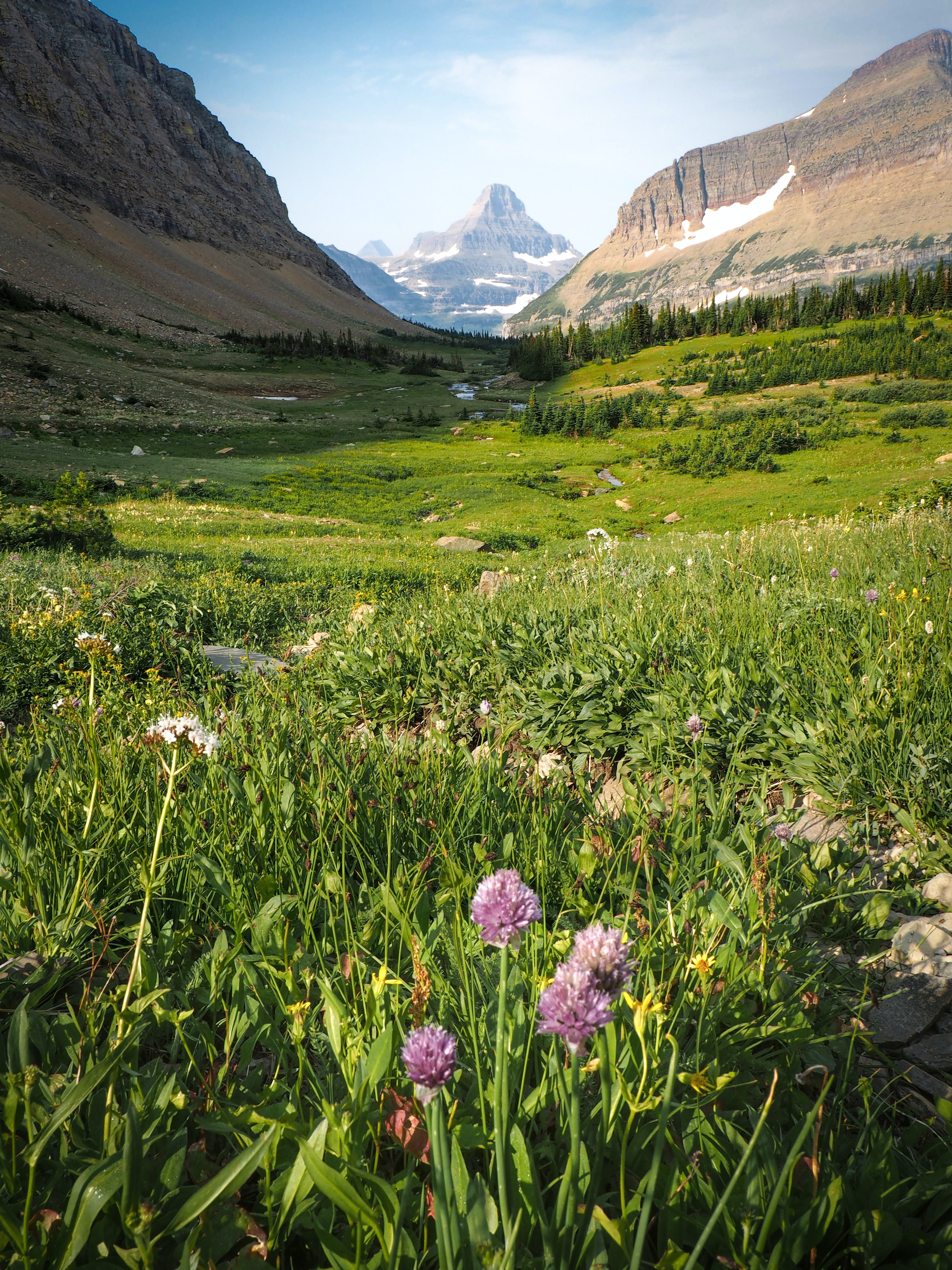 5 Breathtaking Hikes at Glacier National Park