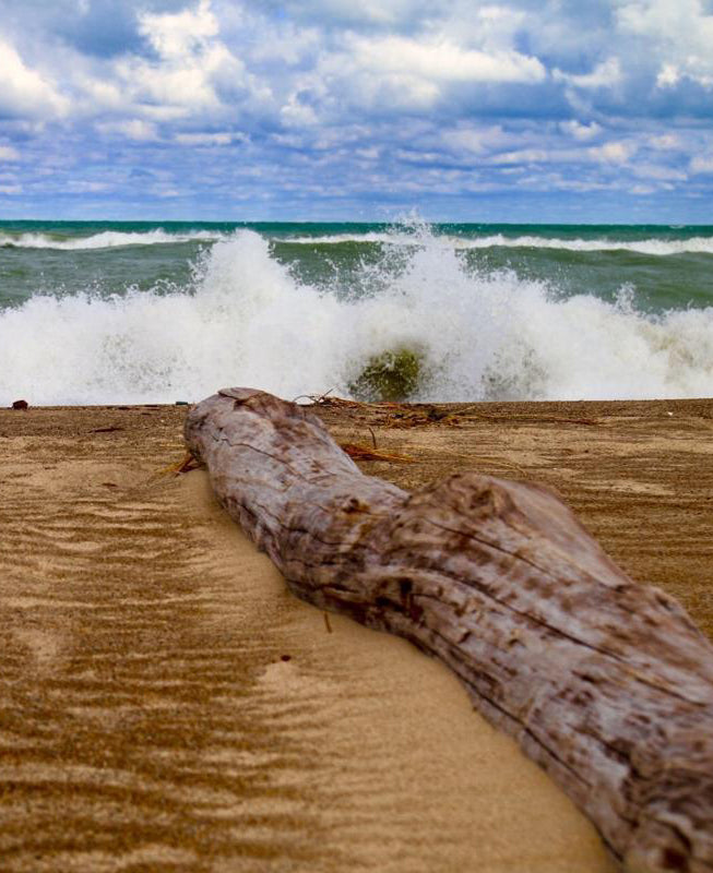 5 Beautiful Trails to Hit Up at Indiana Dunes National Park