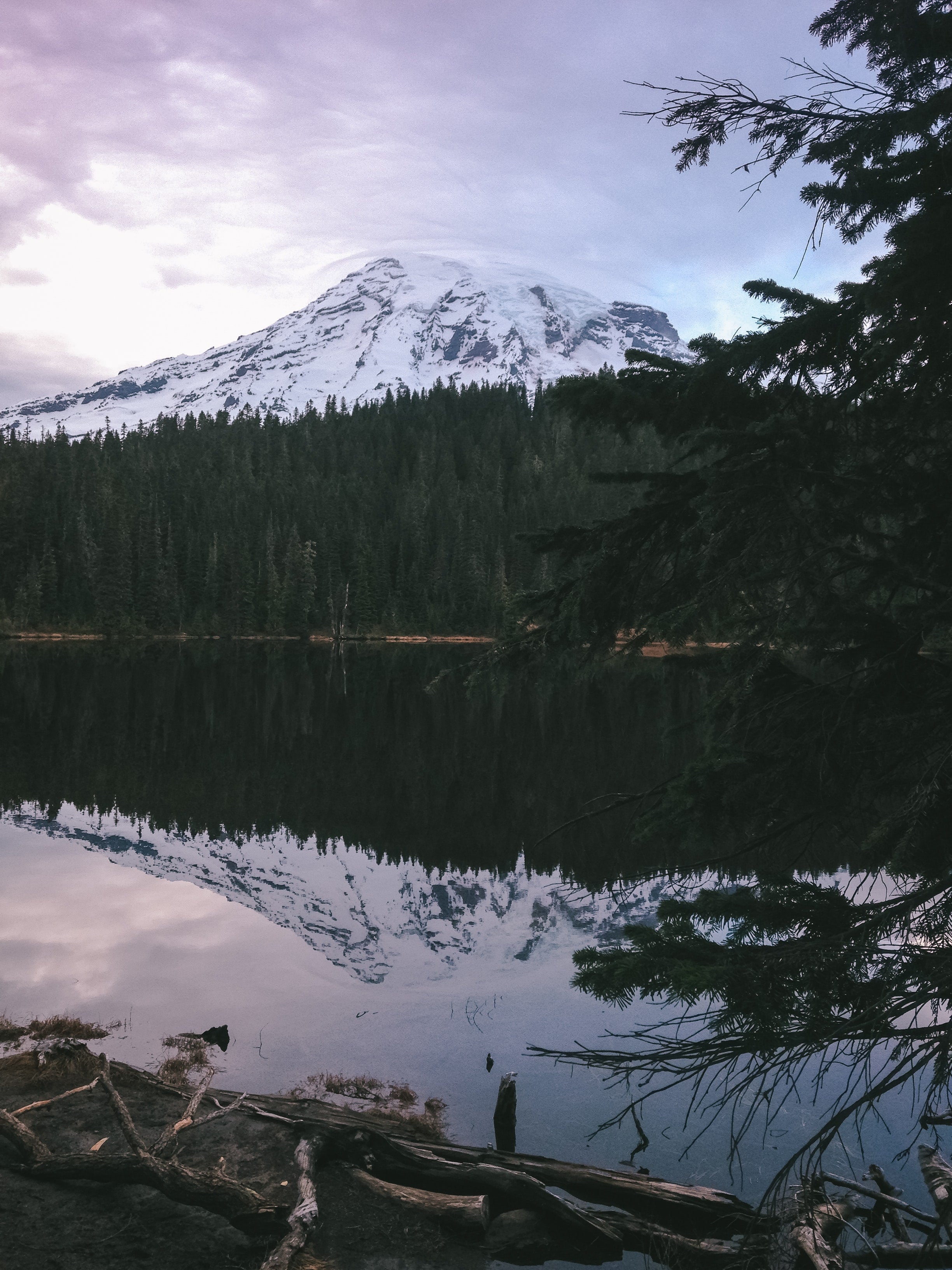 5 Breathtaking Hikes to Take at Mount Rainier National Park