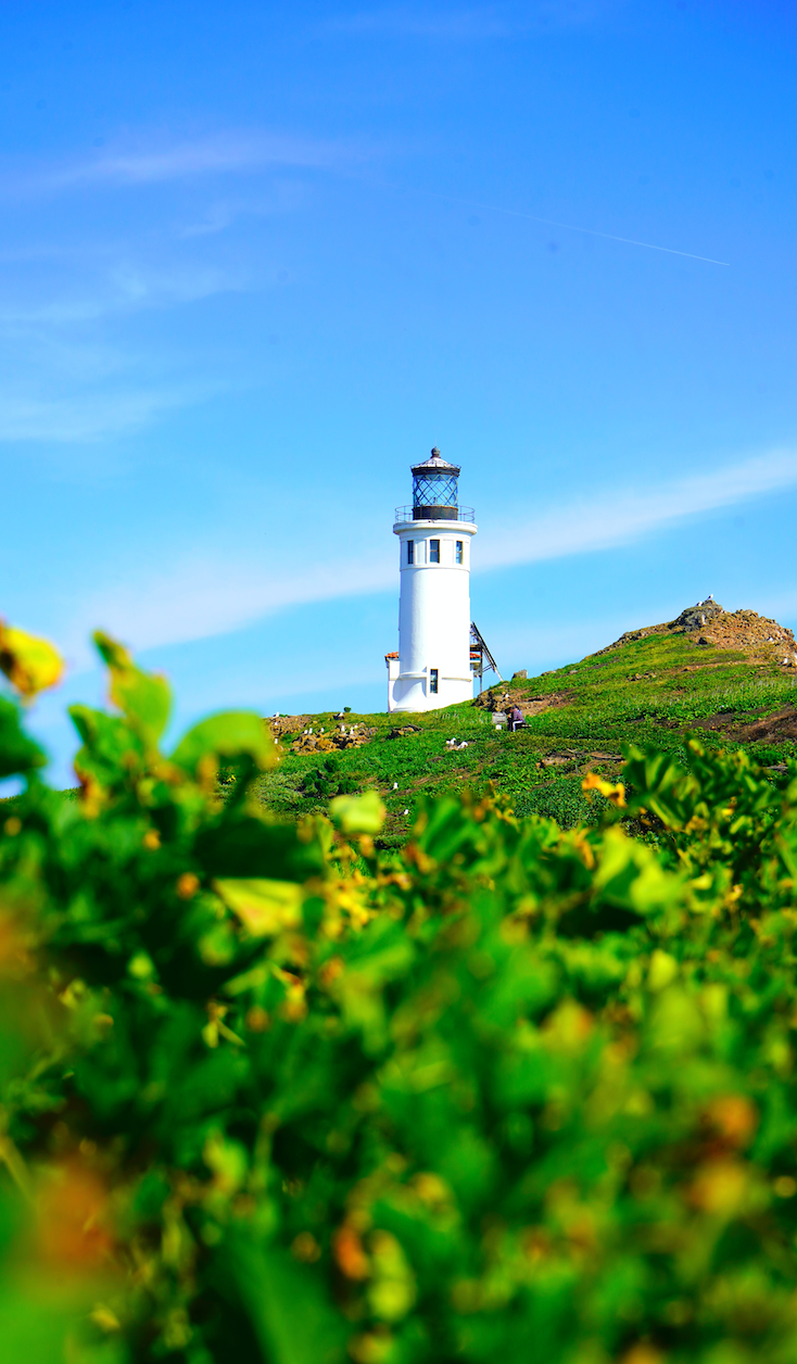 Channel Islands National Park Hiking Trails: Our Top 5 Favorite Hikes