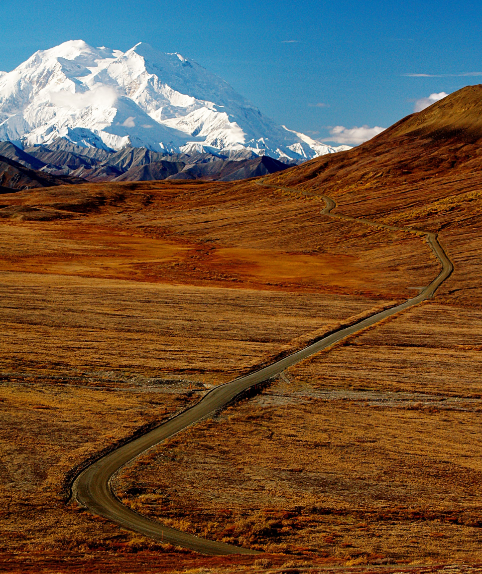 5 Must-Hike Trails at Denali National Park