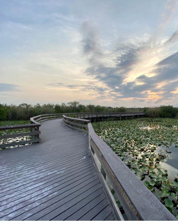 5 Stunning Hikes at Everglades National Park