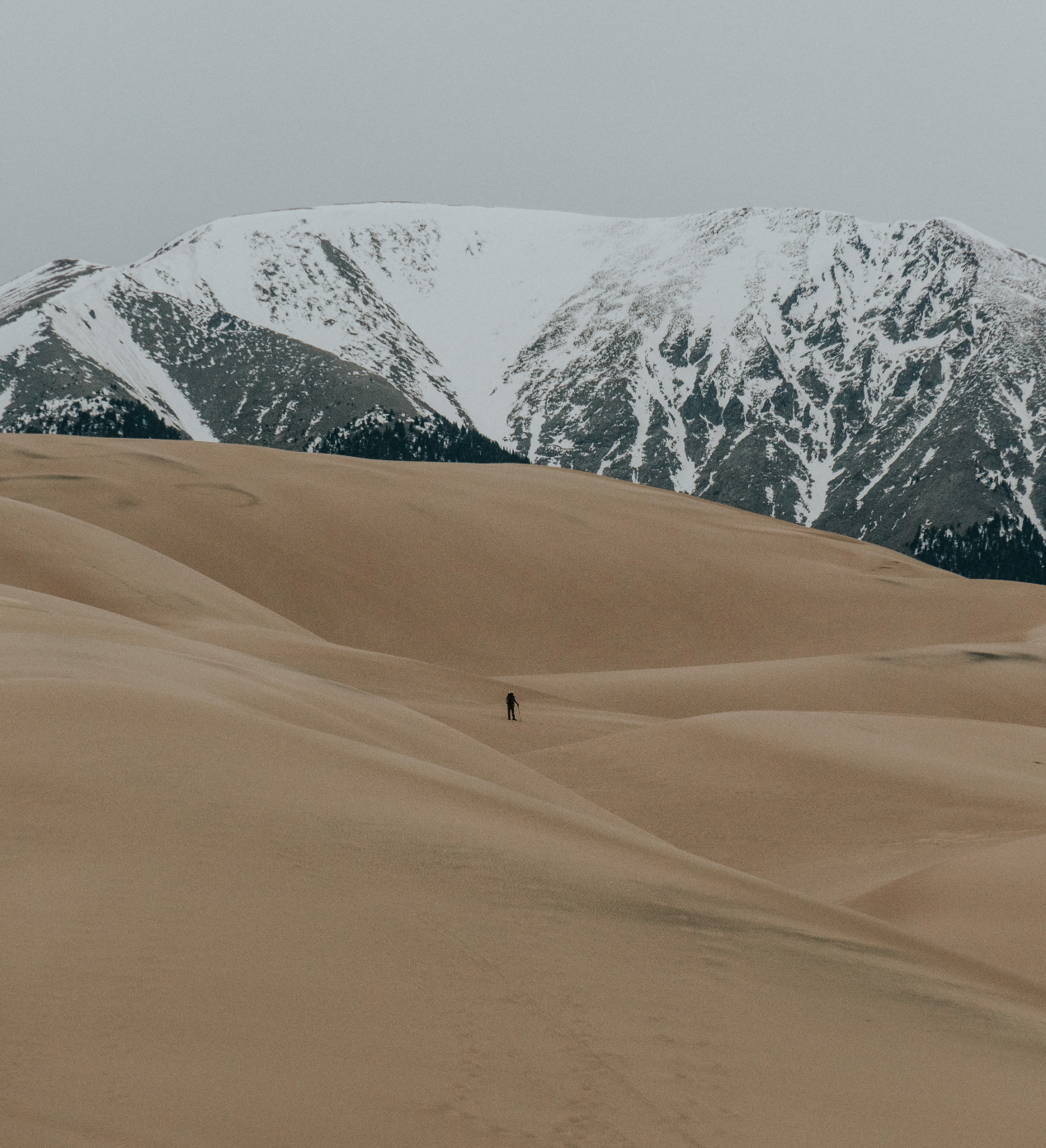 5 Incredible Hiking Trails at Grand Sand Dunes National Park