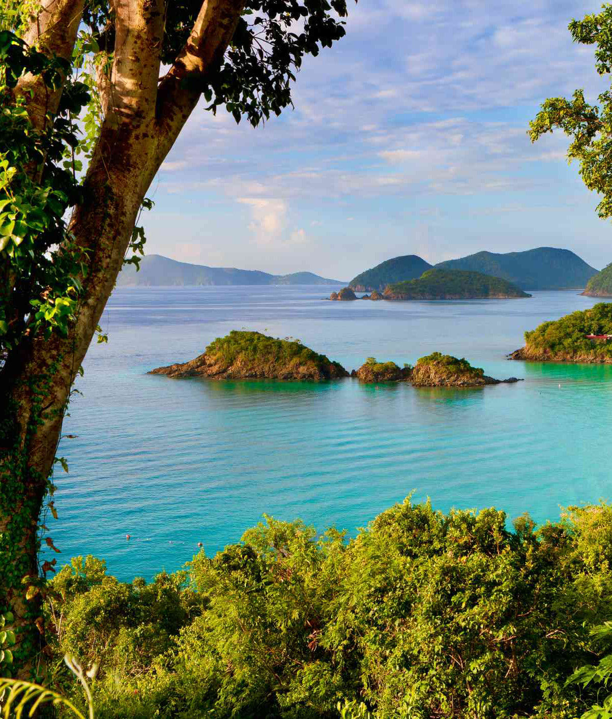 5 Breathtaking Trails You Have to Explore at Virgin Islands National Park