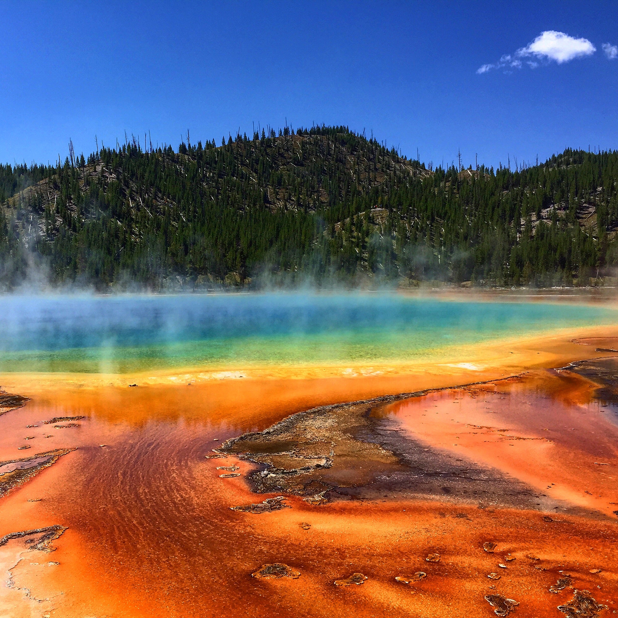 5 Beautiful Hikes You Have To Take at Yellowstone National Park