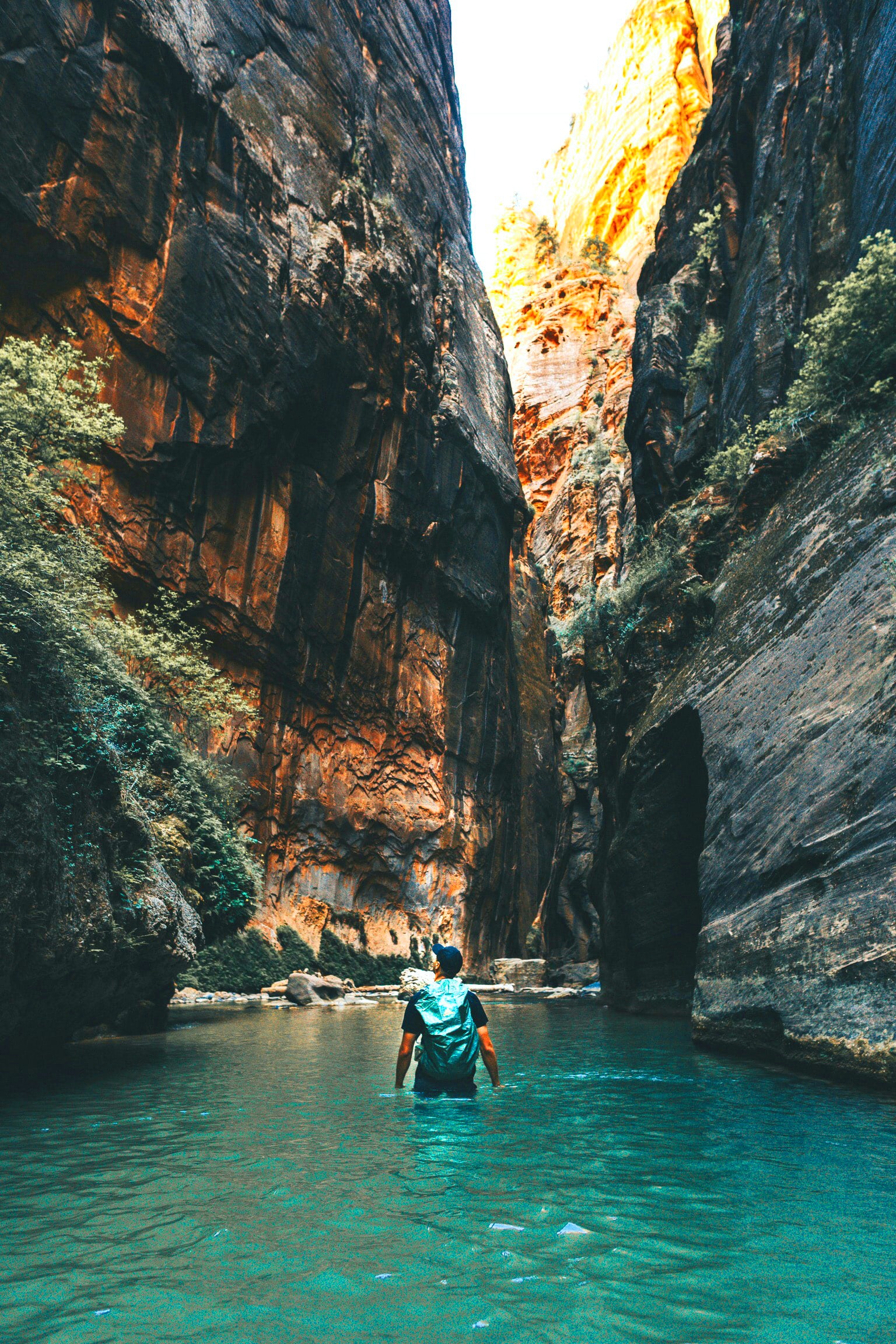 5 Stunning Hikes To Take at Zion National Park