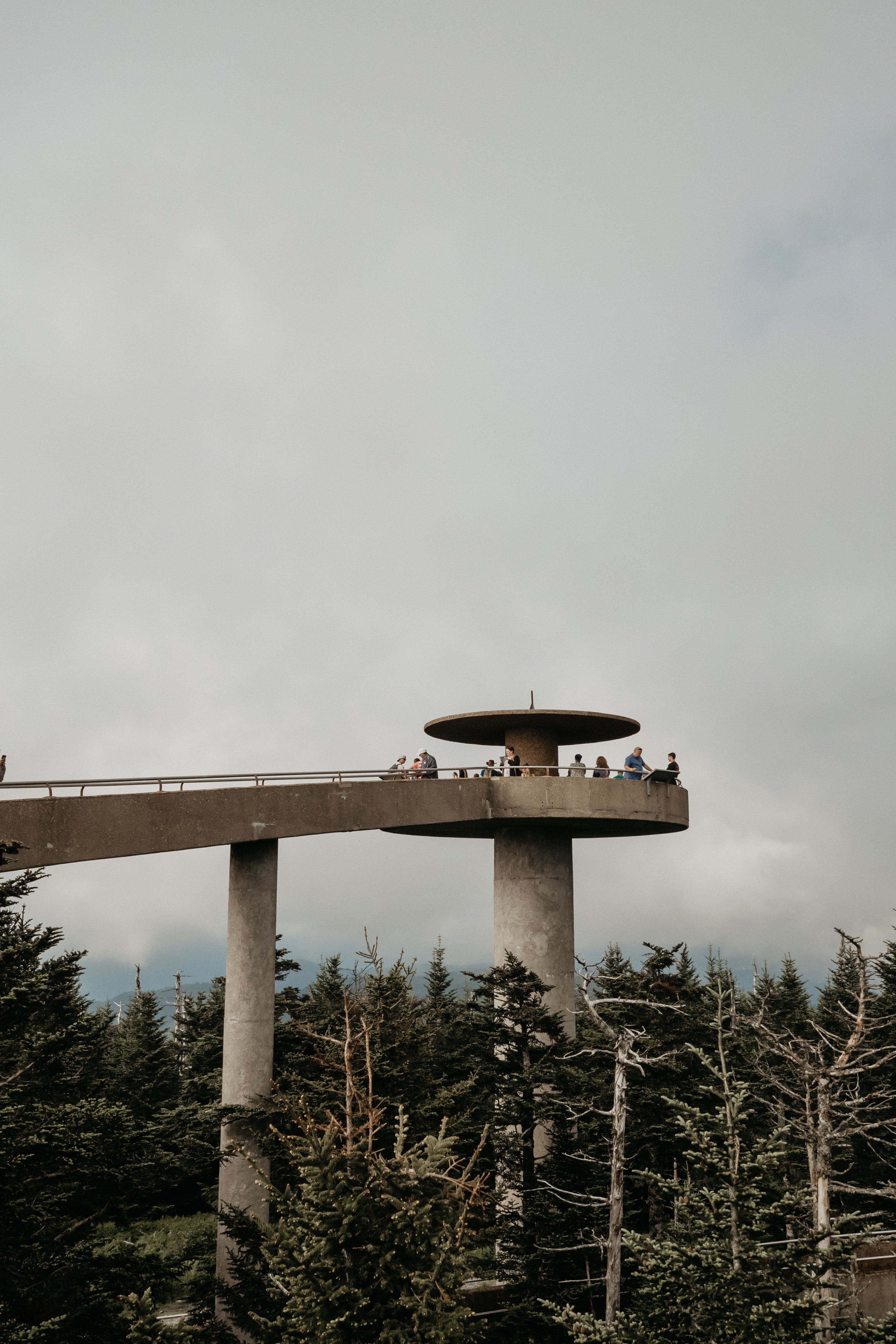 5 Hikes That Will Leave You in Awe at the Great Smoky Mountains National Park