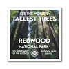 Redwood National Park Magnet - WPA Style