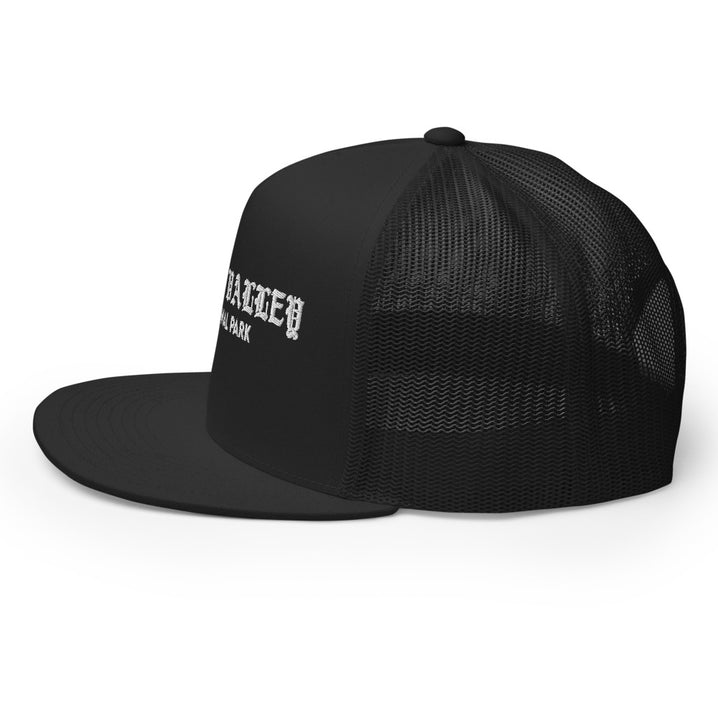Death Valley “Park Ages” Embroidered Trucker Hat (High-Profile)