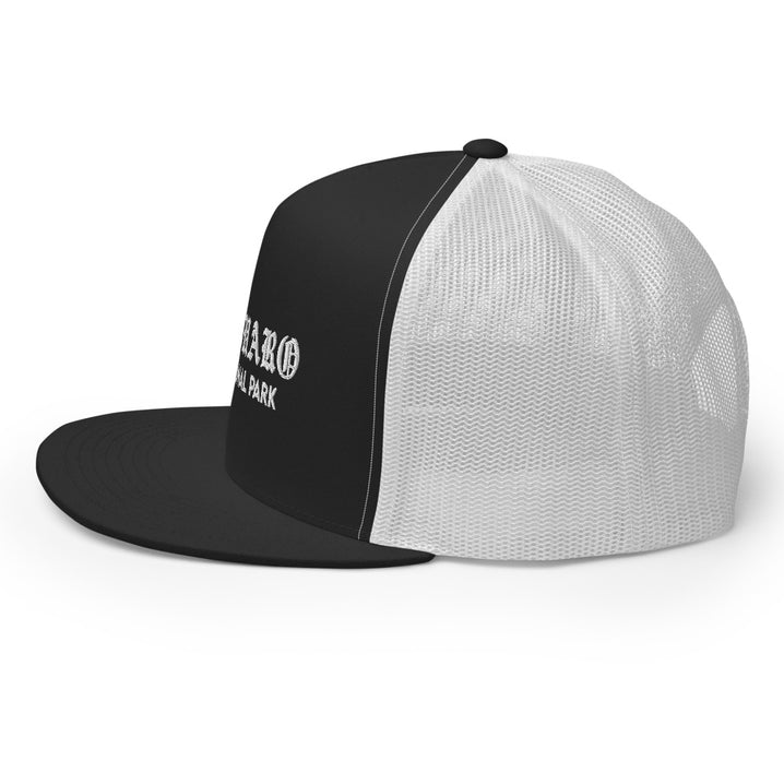Saguaro “Park Ages” Embroidered Trucker Hat (High-Profile)