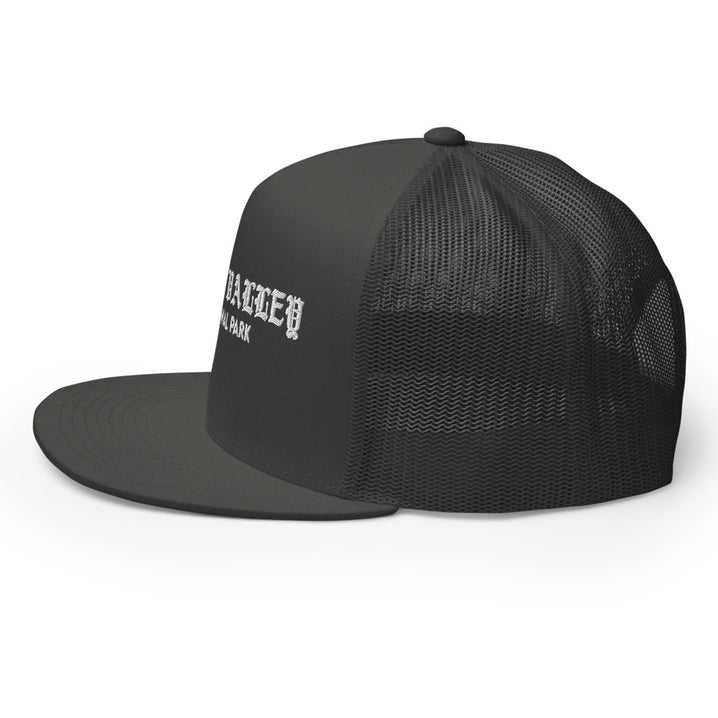 Death Valley “Park Ages” Embroidered Trucker Hat (High-Profile)