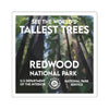 Redwood National Park Square Sticker - WPA Style