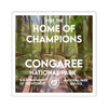 Congaree National Park Square Sticker - WPA Style