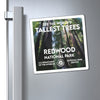 Redwood National Park Magnet - WPA Style