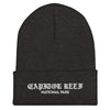 Capitol Reef “Park Ages” Embroidered Cuffed Beanie