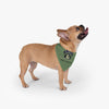 Mount Rainier National Park Dog Bandana - Mount Rainier Pet Bandana