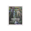Redwood National Park Poster (Framed) - WPA Style