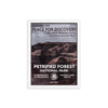 Petrified Forest National Park Poster (Framed) - WPA Style