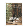 Sequoia National Park Poster (Framed) - WPA Style