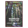 Redwood National Park Sticker - WPA Style