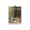 Sequoia National Park Poster - WPA Style
