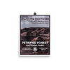 Petrified Forest National Park Poster - WPA Style