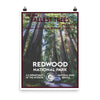Redwood National Park Poster - WPA Style