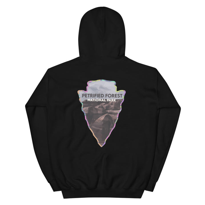 Petrified Forest National Park Men's Hoodie - Established Line