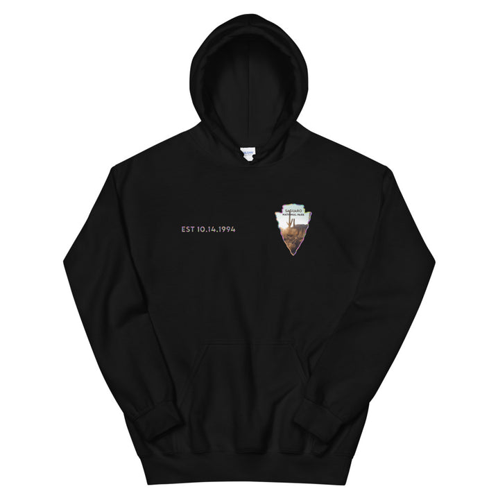 Saguaro National Park Men's Hoodie - Established Line