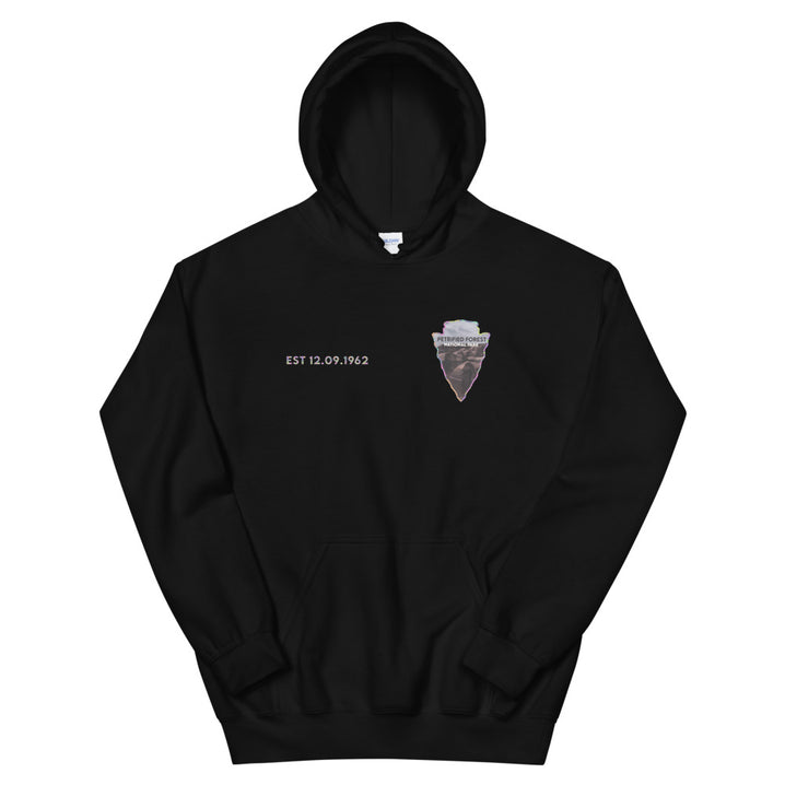 Petrified Forest National Park Men's Hoodie - Established Line