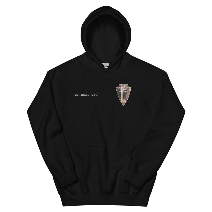 Carlsbad Caverns National Park Men's Hoodie - Established Line