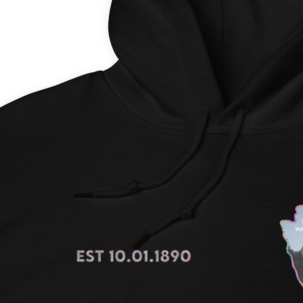 Yosemite National Park Men's Hoodie - Established Line