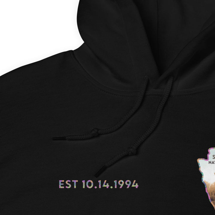 Saguaro National Park Men's Hoodie - Established Line