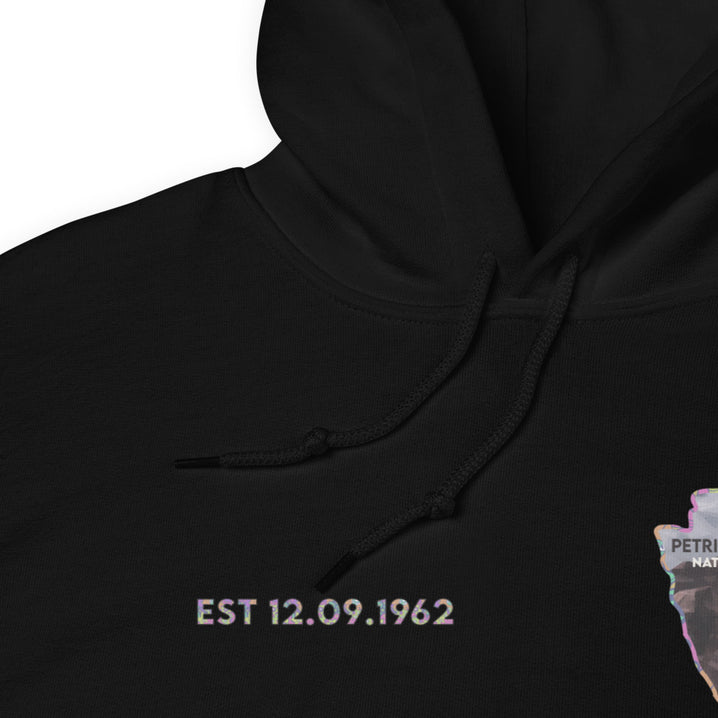 Petrified Forest National Park Men's Hoodie - Established Line