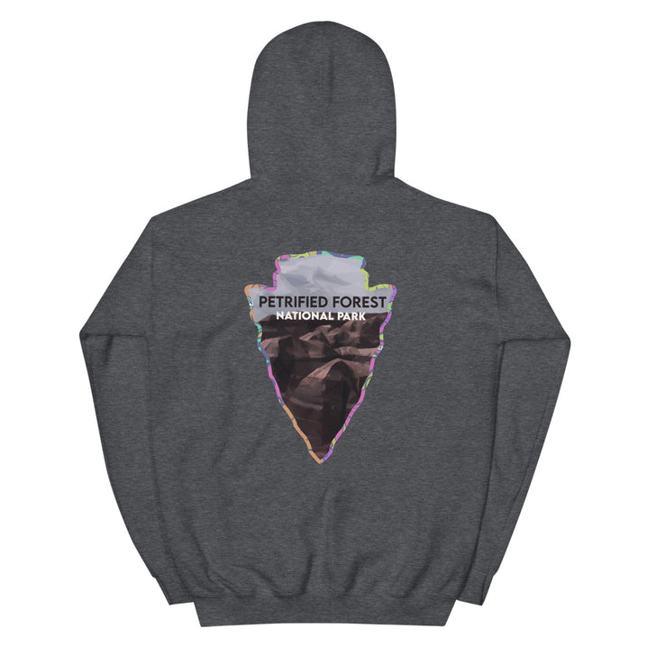 Petrified Forest National Park Men's Hoodie - Established Line
