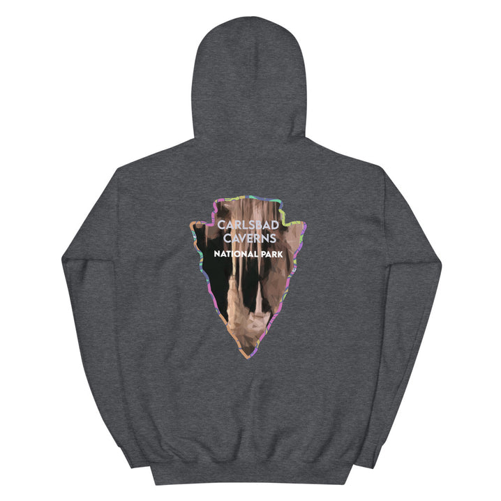 Carlsbad Caverns National Park Men's Hoodie - Established Line