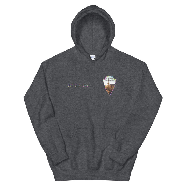 Saguaro National Park Men's Hoodie - Established Line
