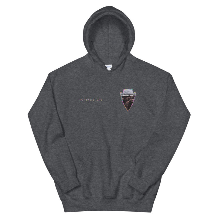 Petrified Forest National Park Men's Hoodie - Established Line