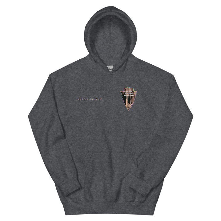 Carlsbad Caverns National Park Men's Hoodie - Established Line