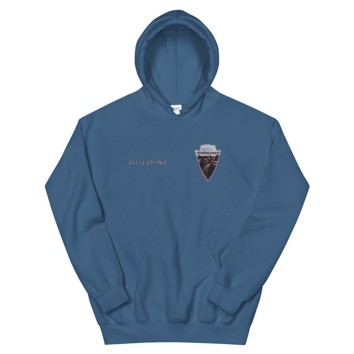 Petrified Forest National Park Men's Hoodie - Established Line