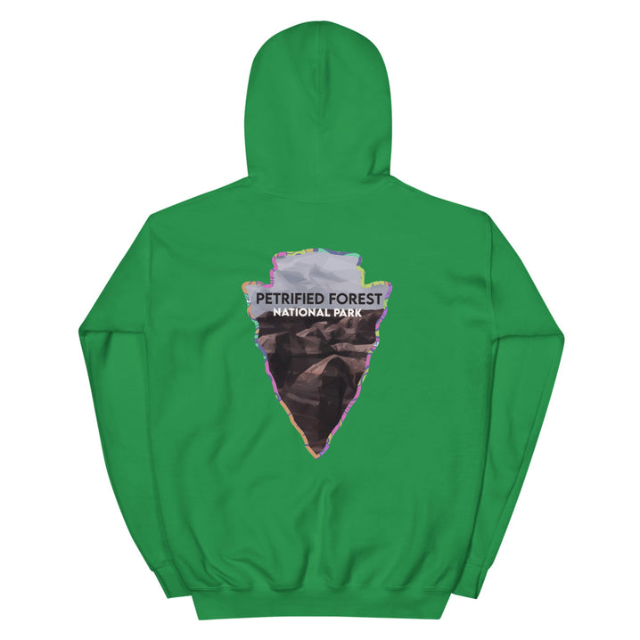 Petrified Forest National Park Men's Hoodie - Established Line