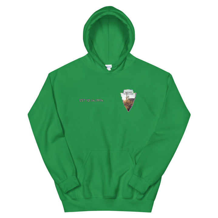 Saguaro National Park Men's Hoodie - Established Line