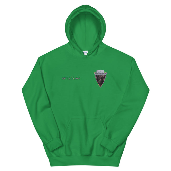 Petrified Forest National Park Men's Hoodie - Established Line