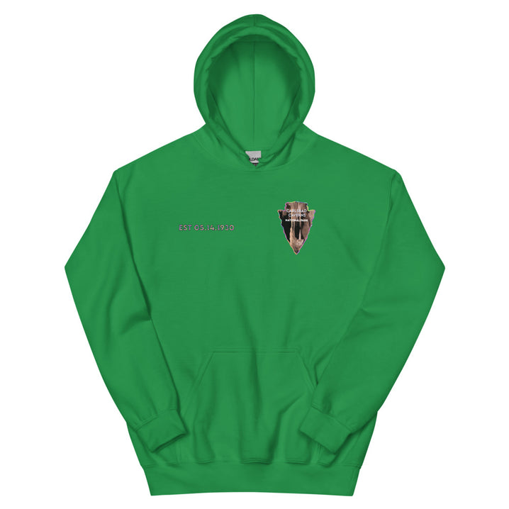 Carlsbad Caverns National Park Men's Hoodie - Established Line