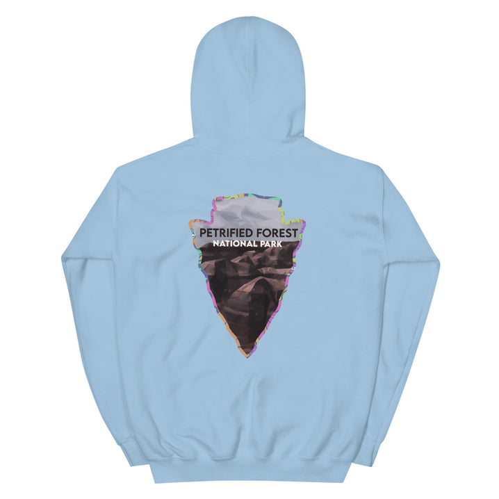 Petrified Forest National Park Men's Hoodie - Established Line