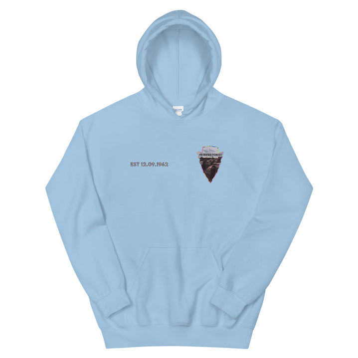 Petrified Forest National Park Men's Hoodie - Established Line